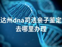 达州dna司法亲子鉴定去哪里办理