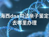 海西dna司法亲子鉴定去哪里办理