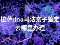 拉萨dna司法亲子鉴定去哪里办理