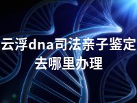 云浮dna司法亲子鉴定去哪里办理