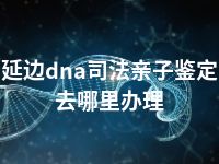 延边dna司法亲子鉴定去哪里办理