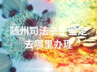 随州司法亲子鉴定去哪里办理