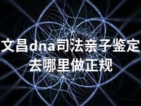 文昌dna司法亲子鉴定去哪里做正规