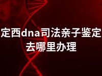 定西dna司法亲子鉴定去哪里办理