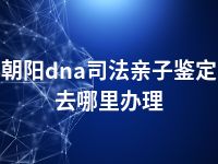 朝阳dna司法亲子鉴定去哪里办理