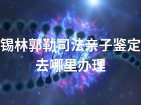 锡林郭勒司法亲子鉴定去哪里办理