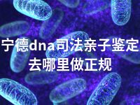 宁德dna司法亲子鉴定去哪里做正规