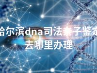 哈尔滨dna司法亲子鉴定去哪里办理