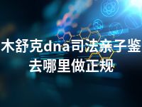 图木舒克dna司法亲子鉴定去哪里做正规