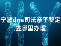 宁波dna司法亲子鉴定去哪里办理