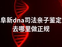 阜新dna司法亲子鉴定去哪里做正规