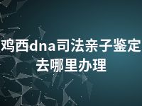 鸡西dna司法亲子鉴定去哪里办理