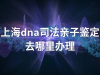 上海dna司法亲子鉴定去哪里办理