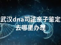 武汉dna司法亲子鉴定去哪里办理