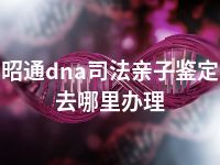 昭通dna司法亲子鉴定去哪里办理