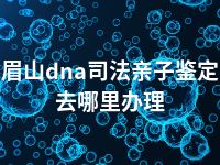 眉山dna司法亲子鉴定去哪里办理