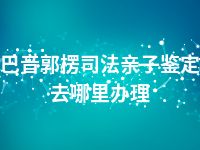 巴音郭楞司法亲子鉴定去哪里办理