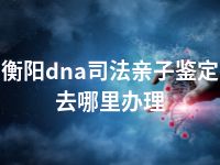 衡阳dna司法亲子鉴定去哪里办理