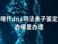 喀什dna司法亲子鉴定去哪里办理