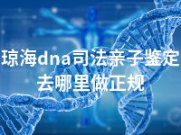 东方dna司法亲子鉴定去哪里办理