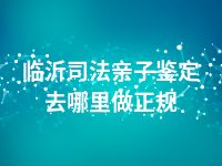 临沂司法亲子鉴定去哪里做正规