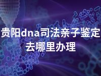 贵阳dna司法亲子鉴定去哪里办理