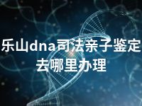 乐山dna司法亲子鉴定去哪里办理