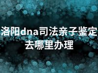 洛阳dna司法亲子鉴定去哪里办理