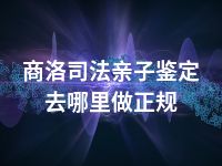 商洛司法亲子鉴定去哪里做正规