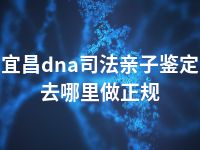 宜昌dna司法亲子鉴定去哪里做正规