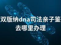 西双版纳dna司法亲子鉴定去哪里办理