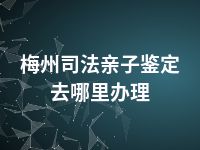 梅州司法亲子鉴定去哪里办理