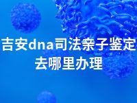 吉安dna司法亲子鉴定去哪里办理