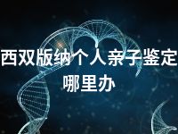 西双版纳个人亲子鉴定哪里办