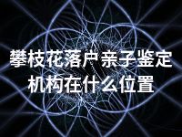 攀枝花落户亲子鉴定机构在什么位置