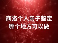 商洛个人亲子鉴定哪个地方可以做