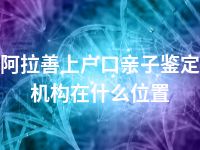 阿拉善上户口亲子鉴定机构在什么位置