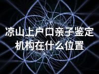 凉山上户口亲子鉴定机构在什么位置