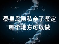 秦皇岛隐私亲子鉴定哪个地方可以做