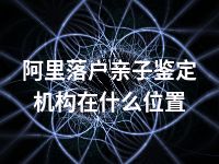 阿里落户亲子鉴定机构在什么位置