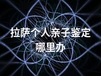 拉萨个人亲子鉴定哪里办