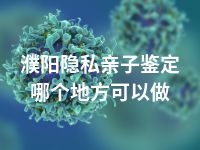 濮阳隐私亲子鉴定哪个地方可以做