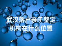 武汉落户亲子鉴定机构在什么位置