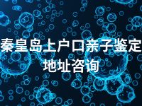 秦皇岛上户口亲子鉴定地址咨询