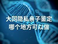 大同隐私亲子鉴定哪个地方可以做