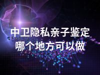 中卫隐私亲子鉴定哪个地方可以做