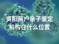 资阳落户亲子鉴定机构在什么位置