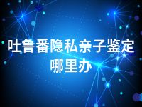 吐鲁番隐私亲子鉴定哪里办