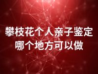 攀枝花个人亲子鉴定哪个地方可以做