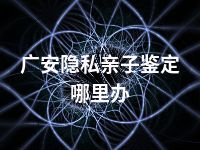 广安隐私亲子鉴定哪里办